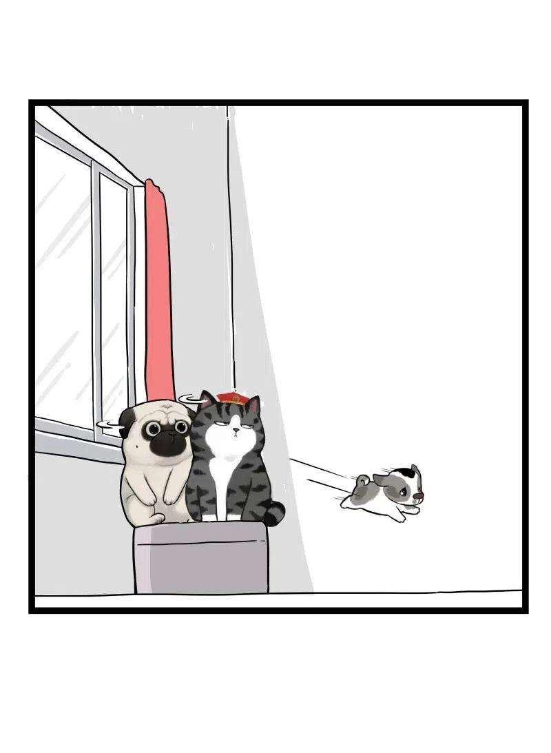 32.jpg