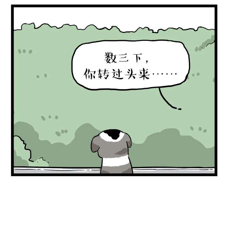 47.jpg