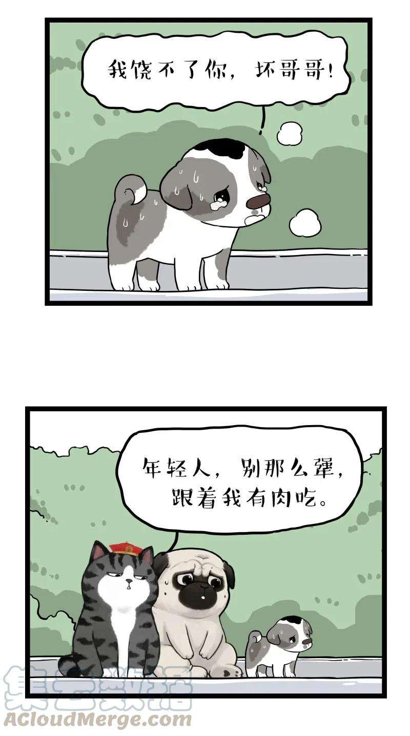 40.jpg