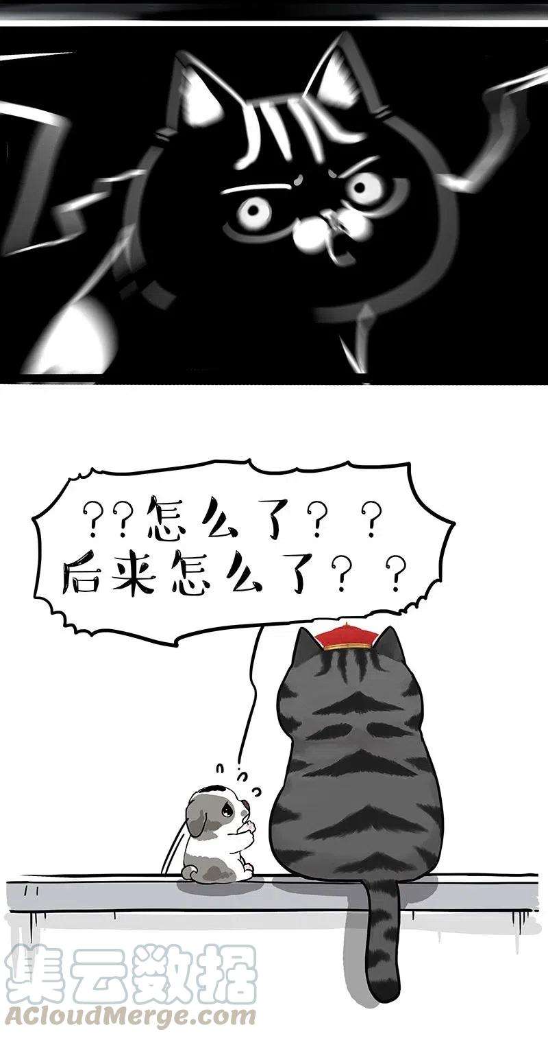 31.jpg