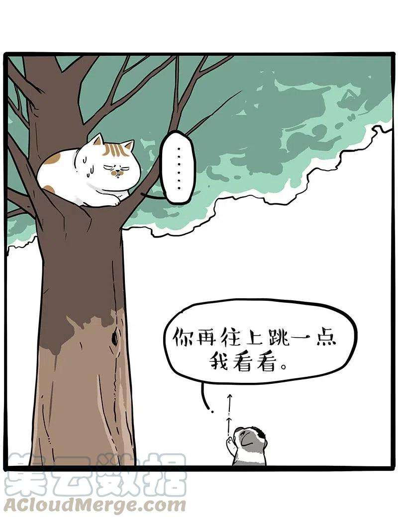 15.jpg