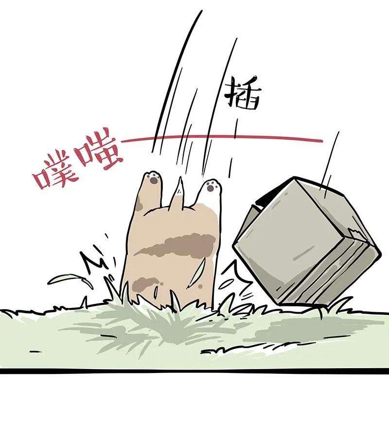 18.jpg