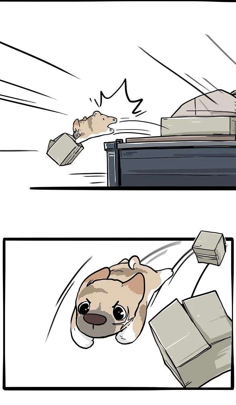 16.jpg