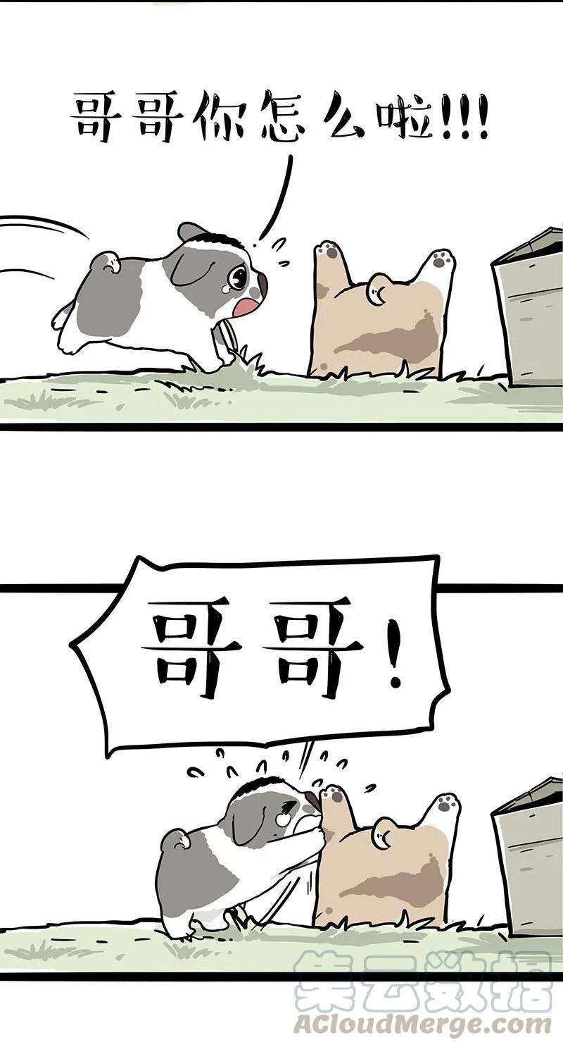 21.jpg