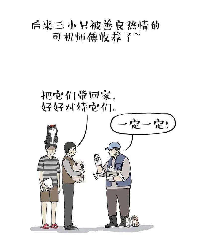 40.jpg