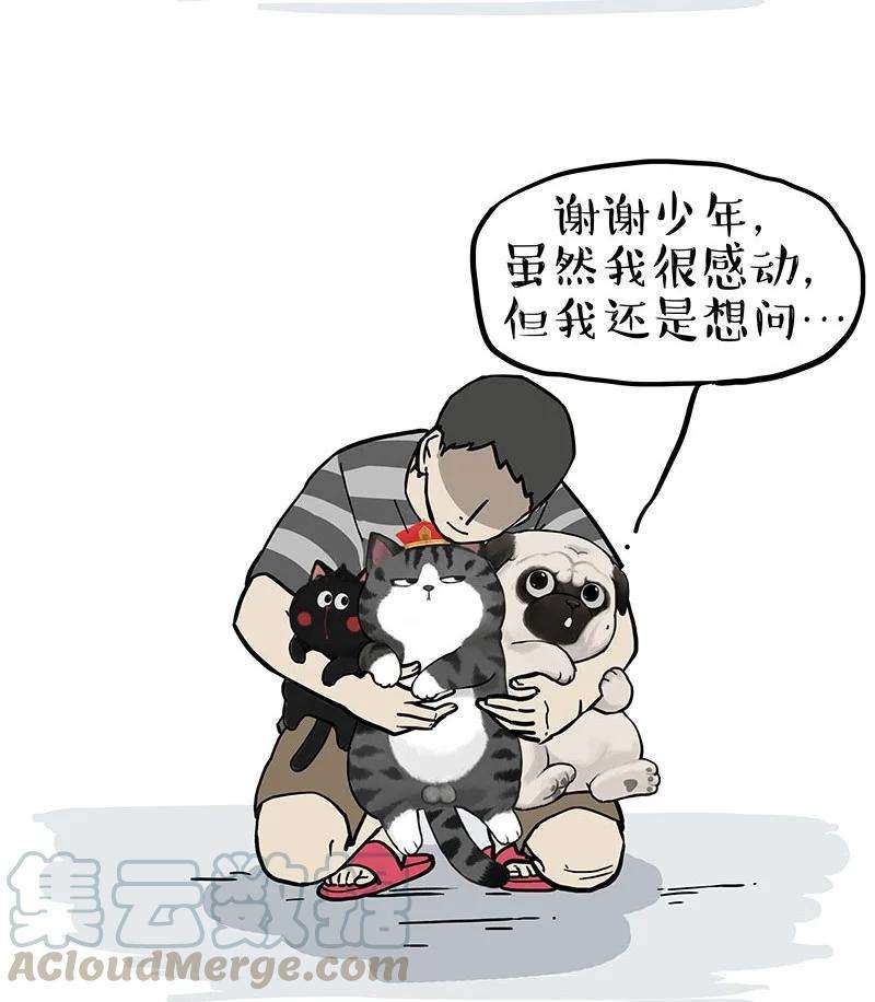 13.jpg