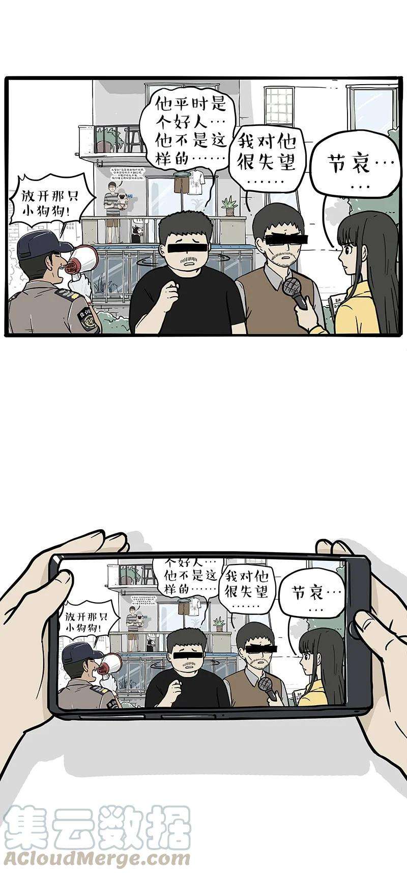 17.jpg