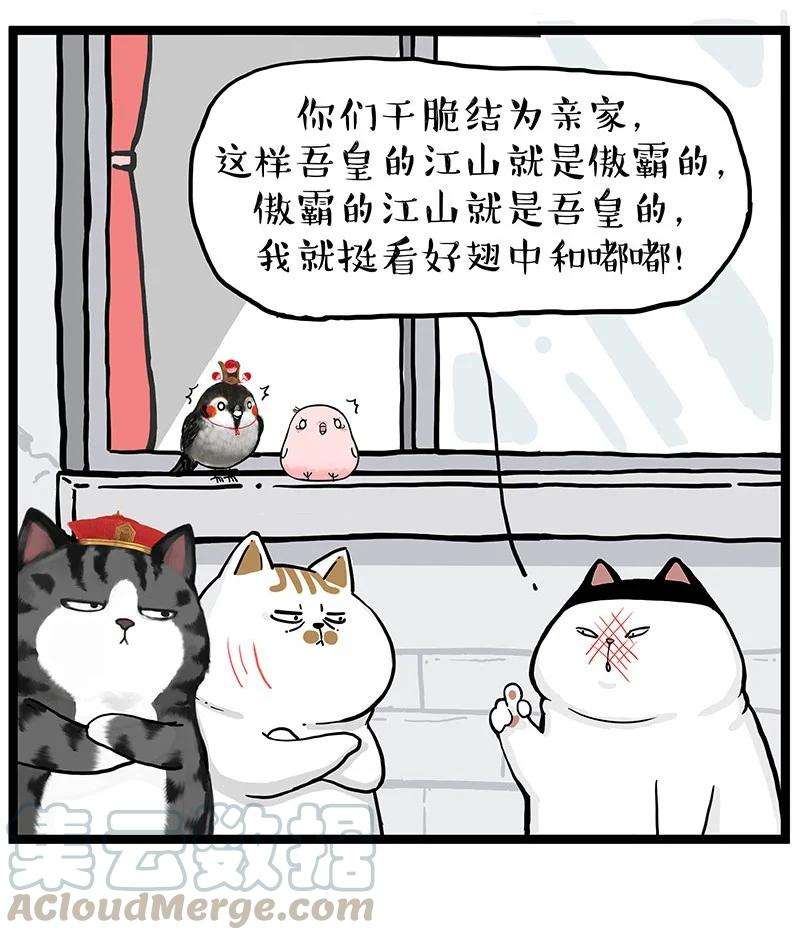 17.jpg