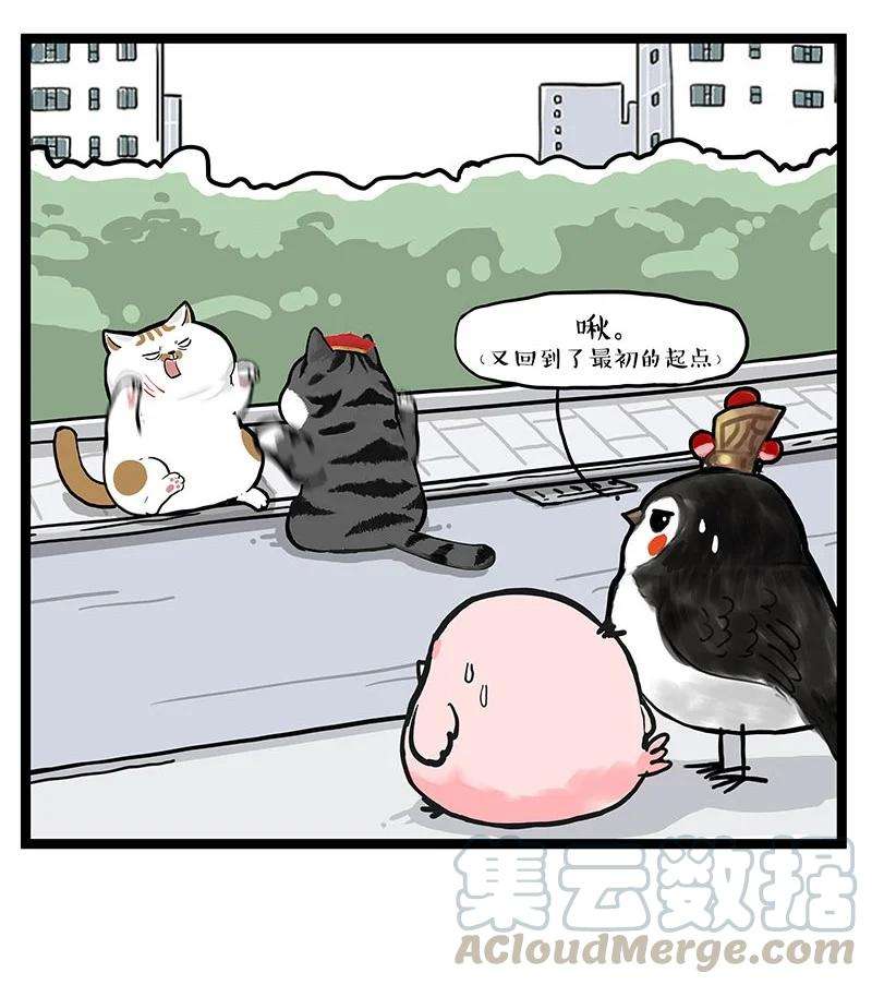 19.jpg