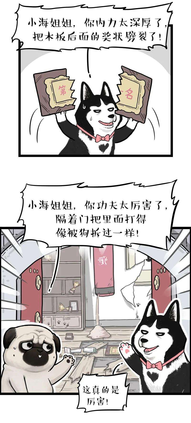 20.jpg