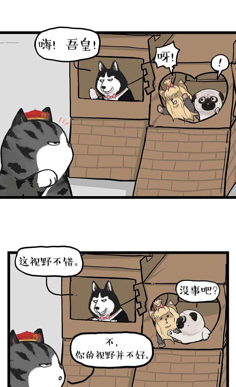 16.jpg