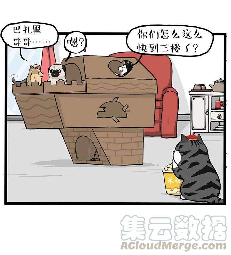 27.jpg