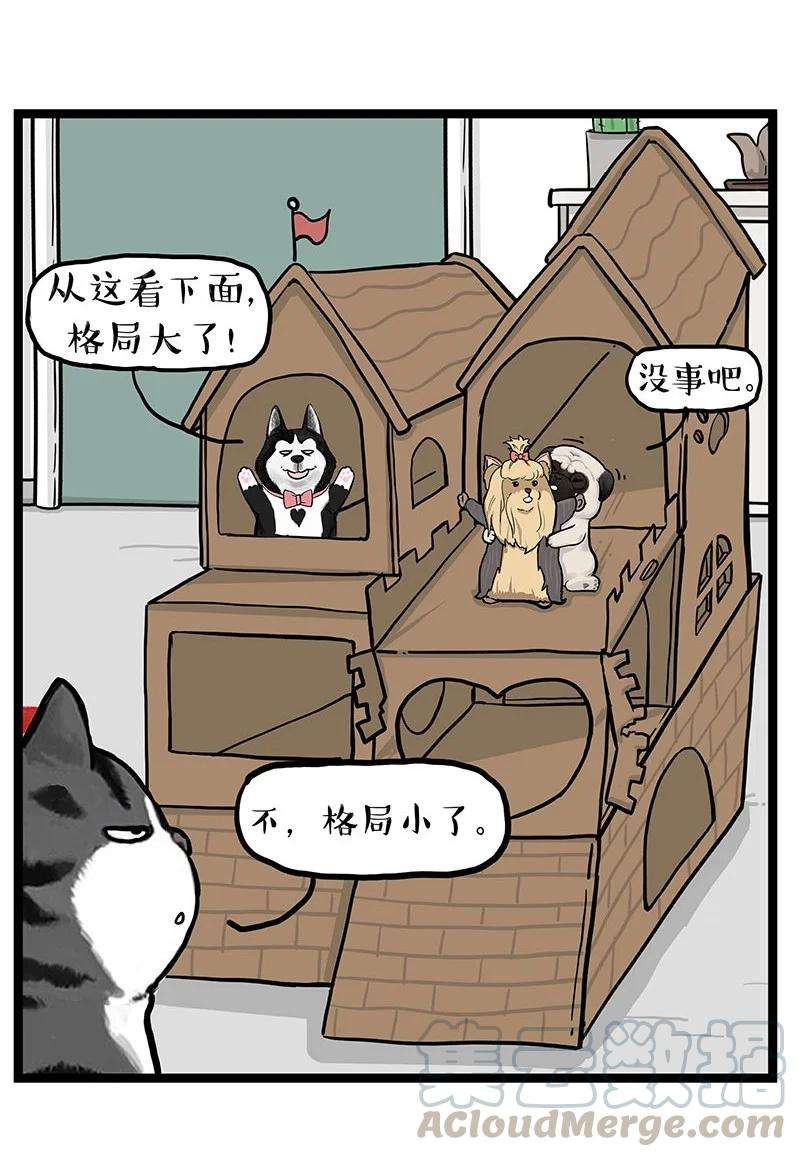 19.jpg
