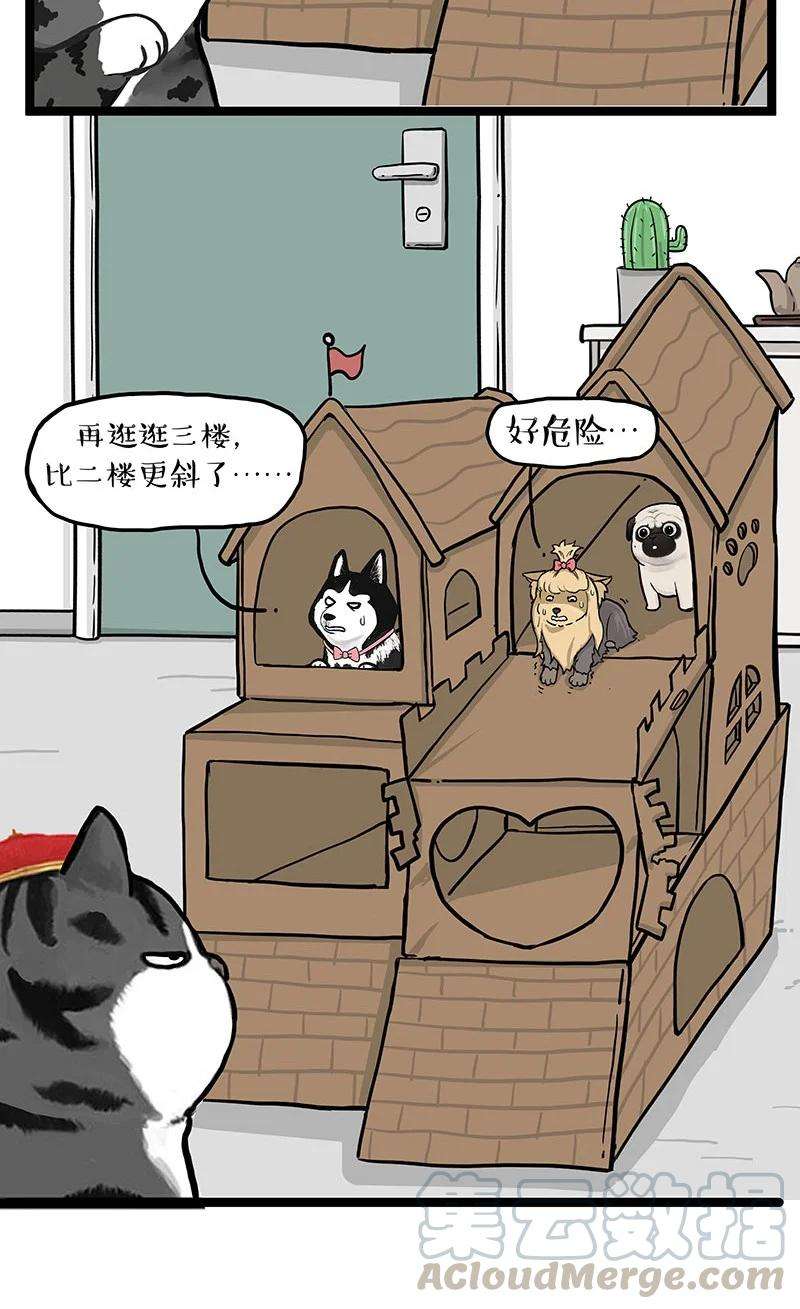 17.jpg