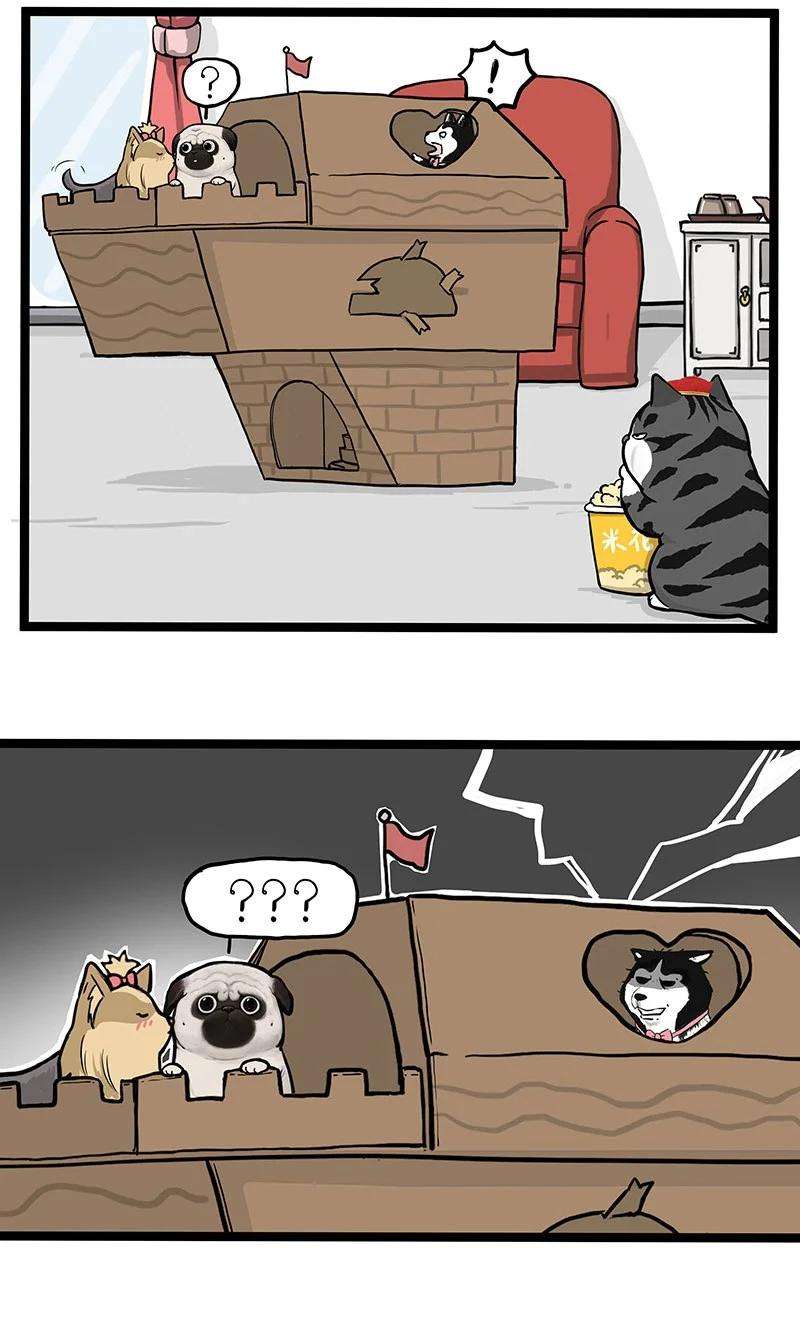 28.jpg