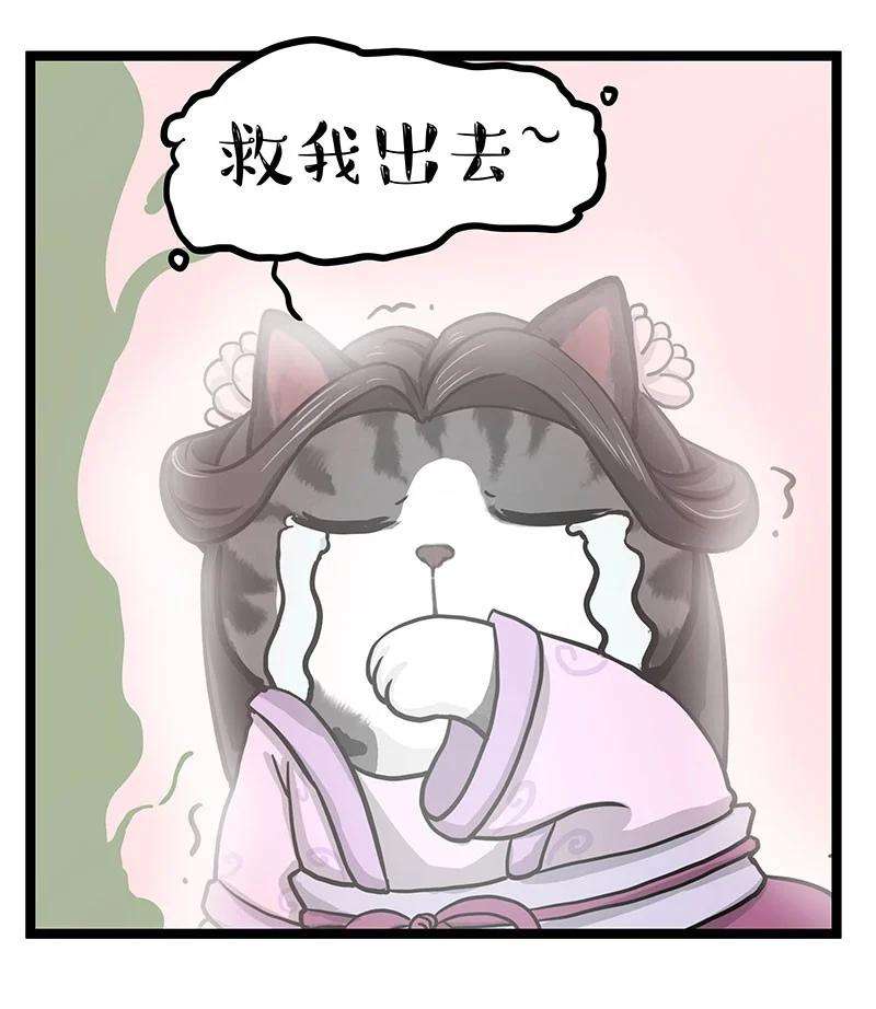 36.jpg