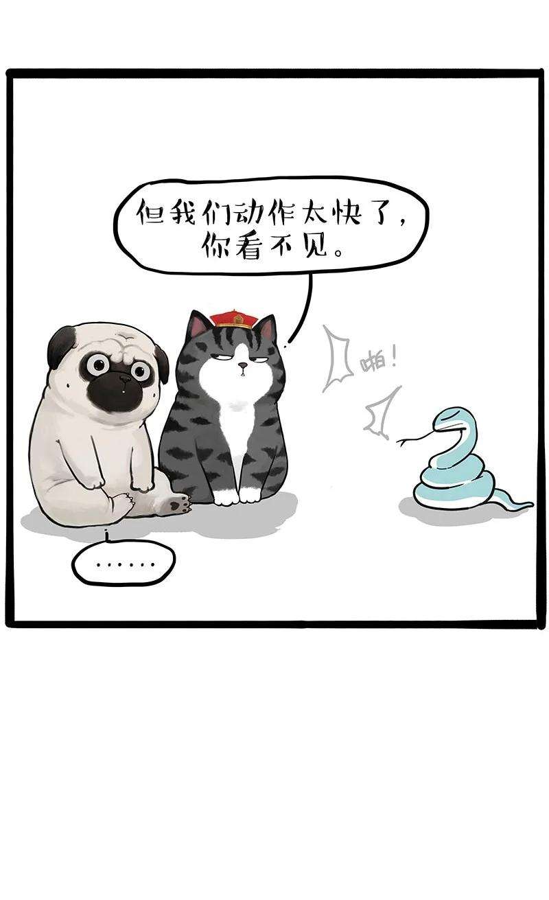 13.jpg