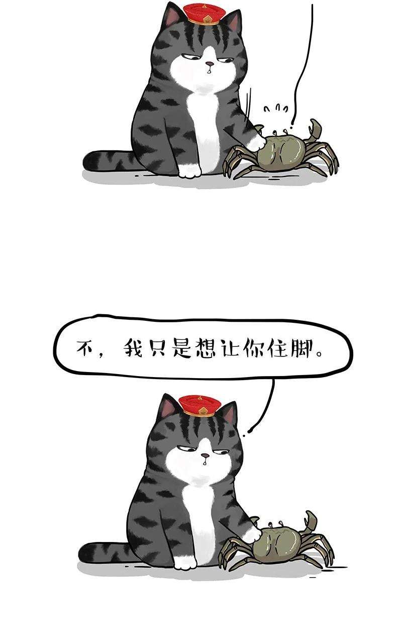 25.jpg