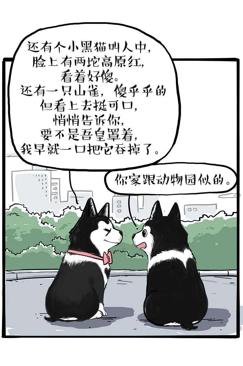 15.jpg