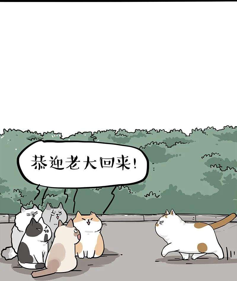 36.jpg