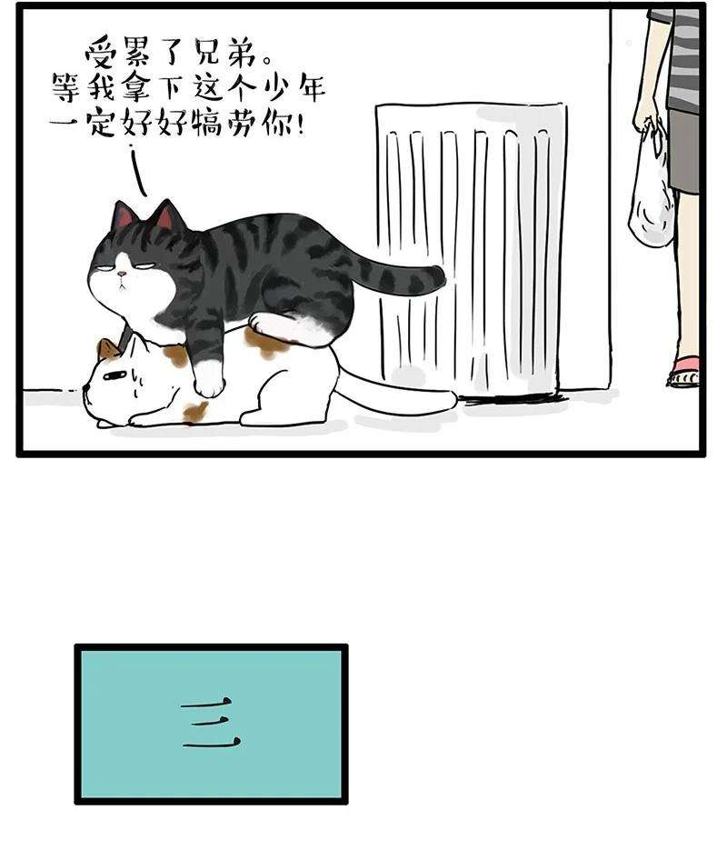 35.jpg