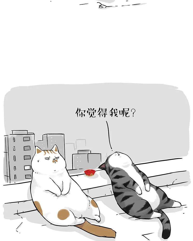 39.jpg