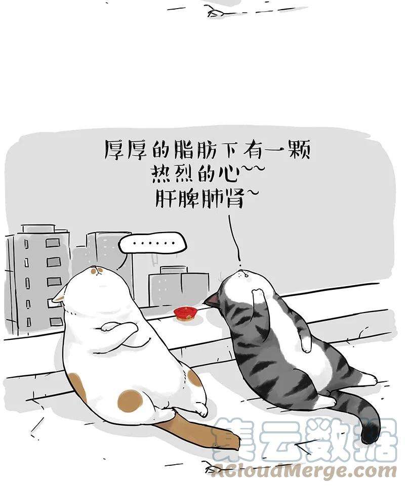 46.jpg