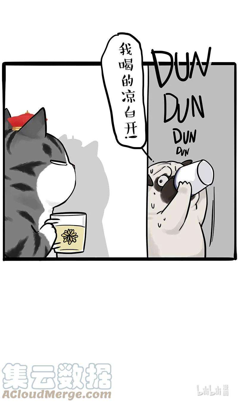 37.jpg