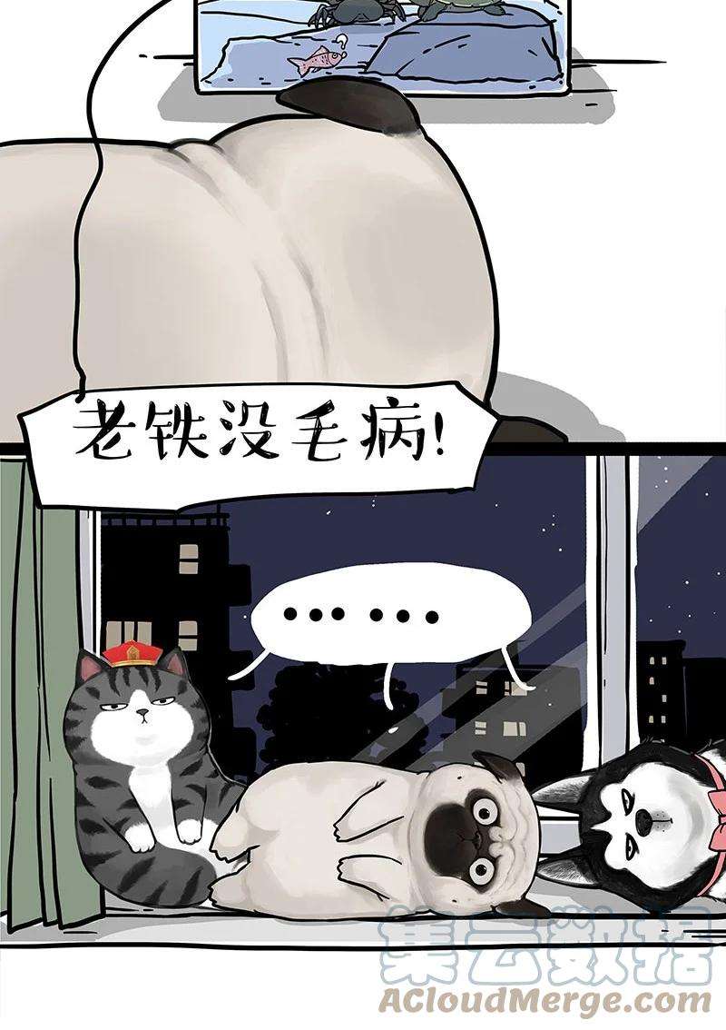 19.jpg
