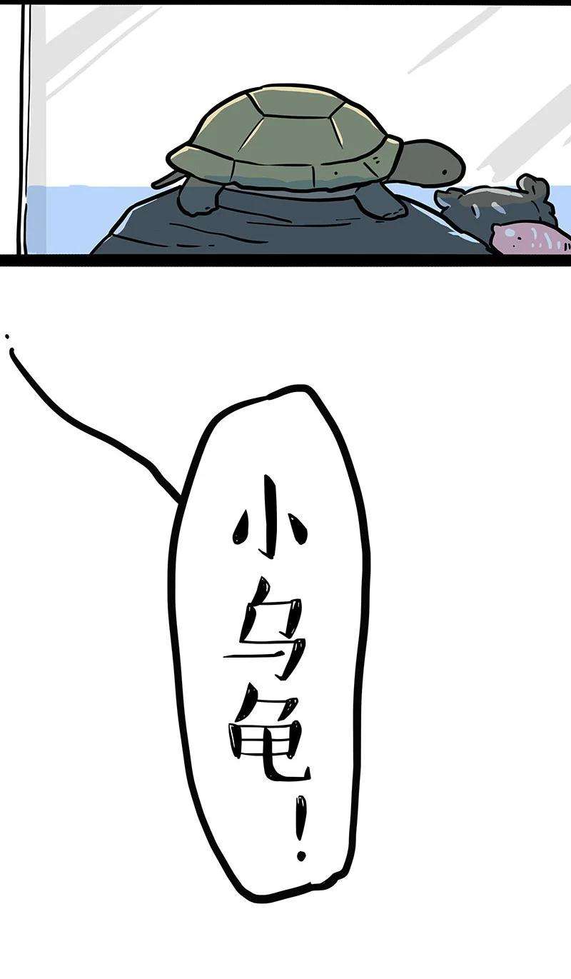 50.jpg