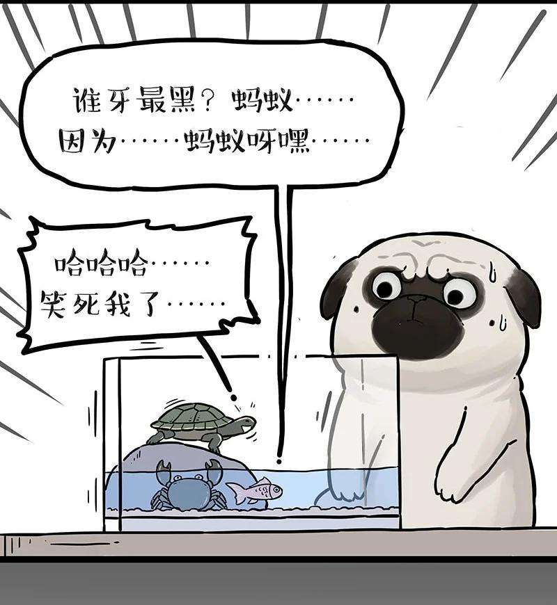 15.jpg
