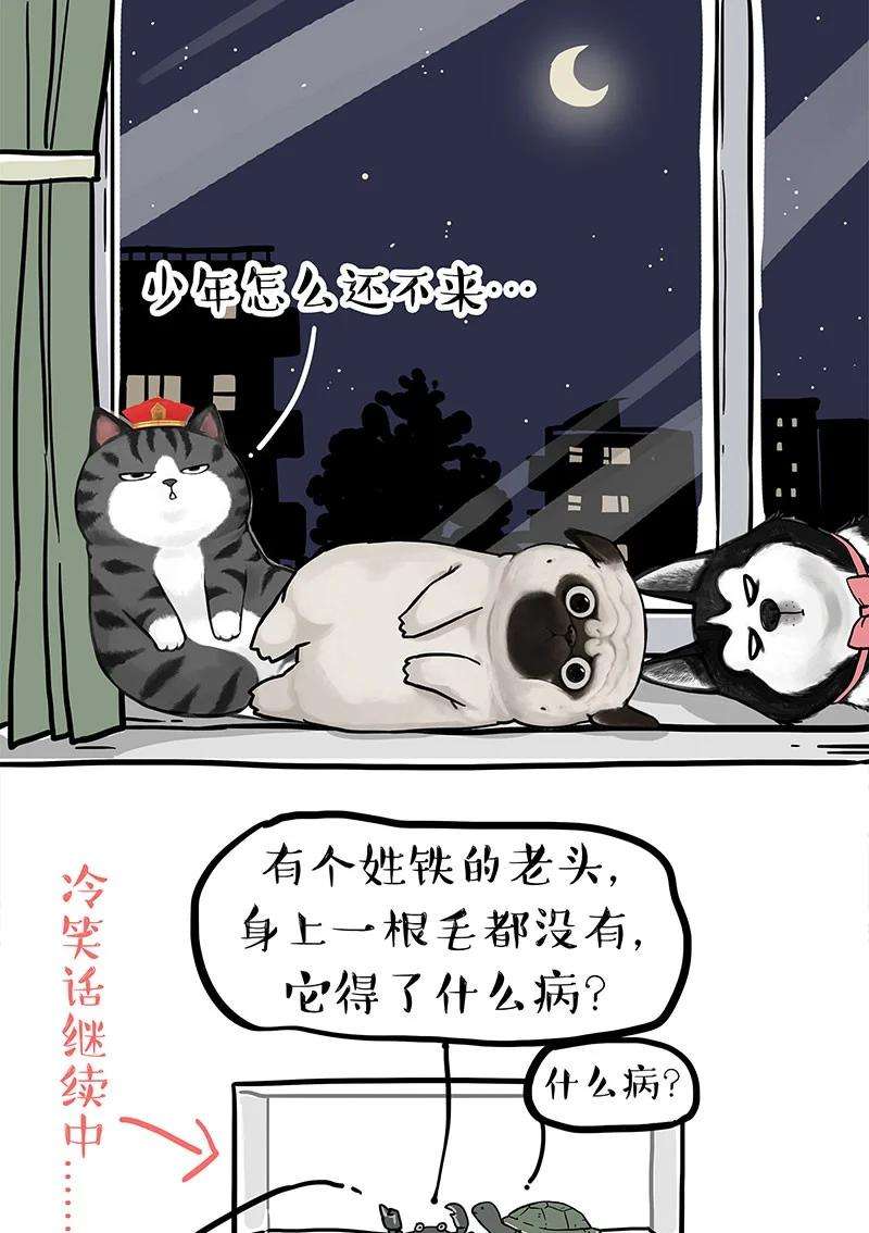 18.jpg