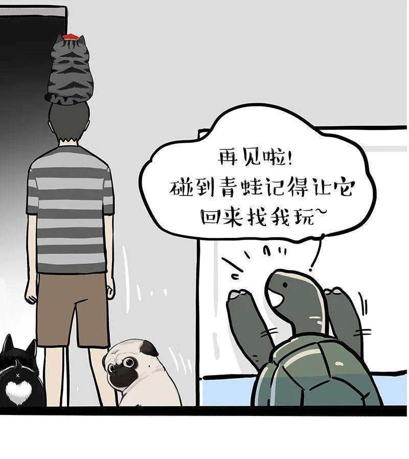 33.jpg