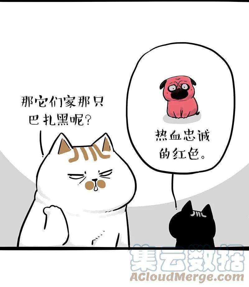 19.jpg