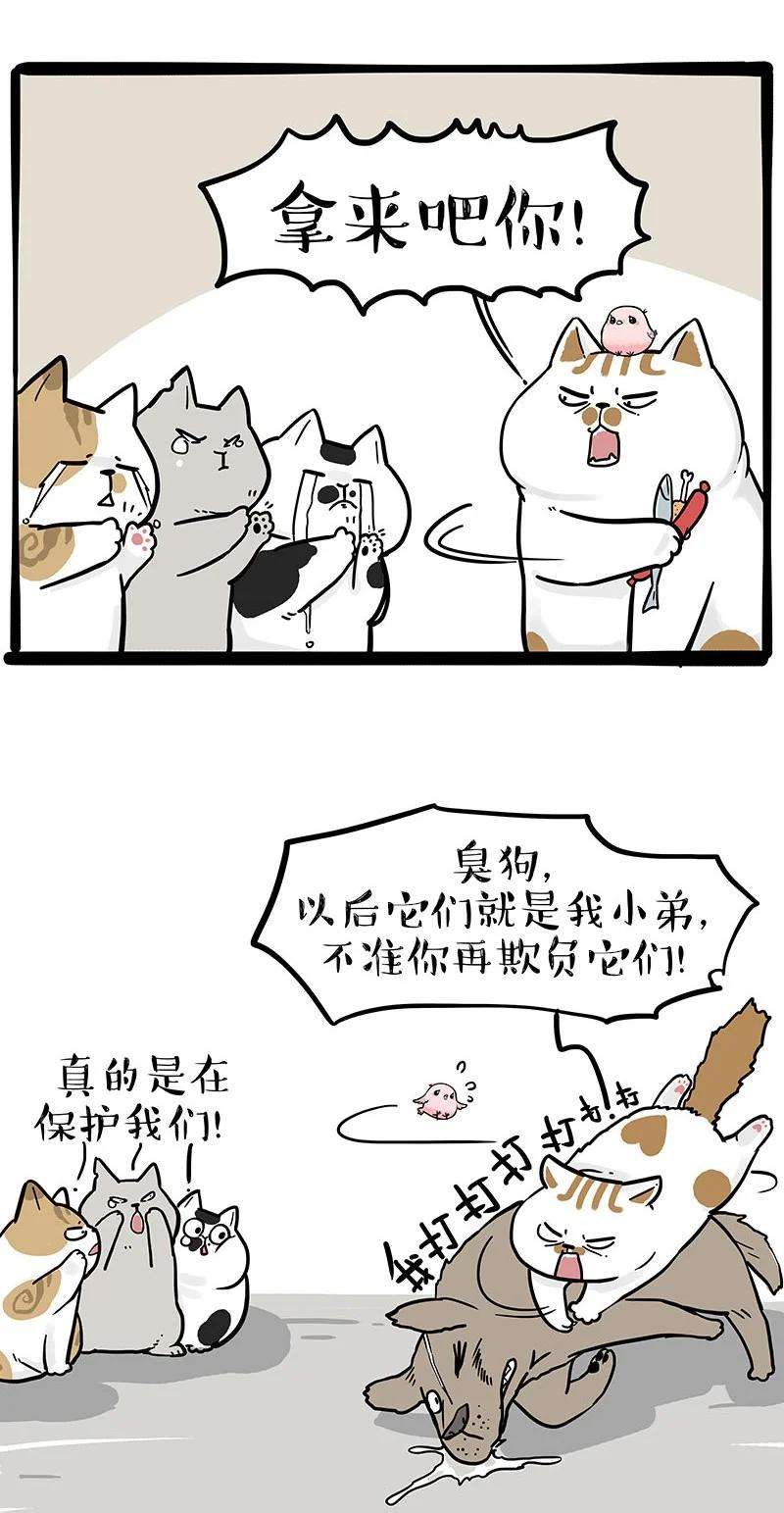 12.jpg