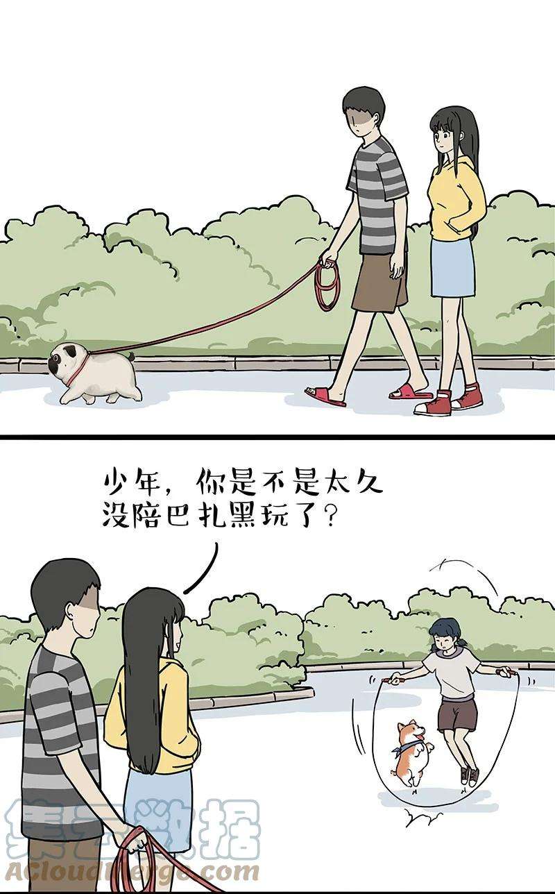 15.jpg