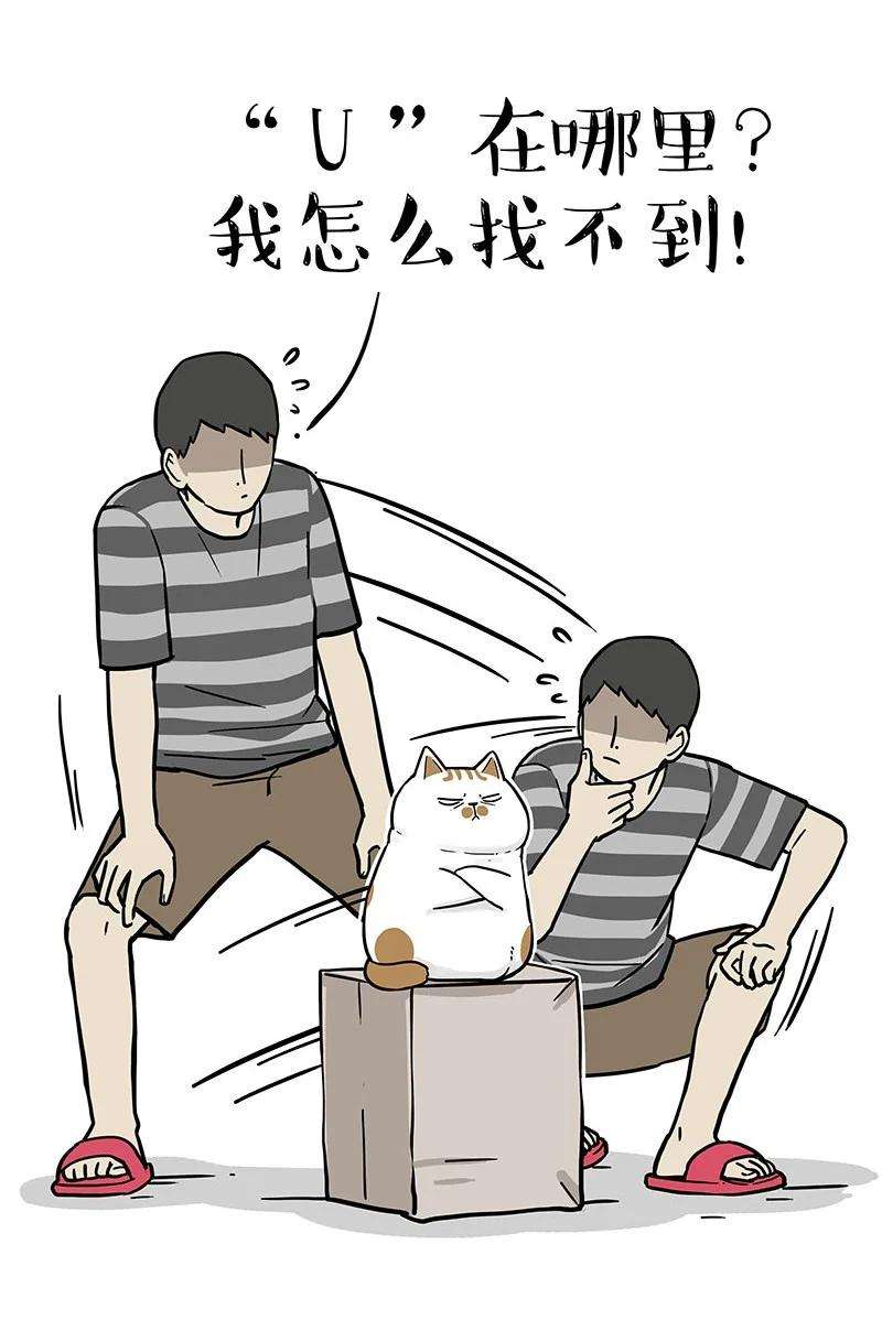 14.jpg
