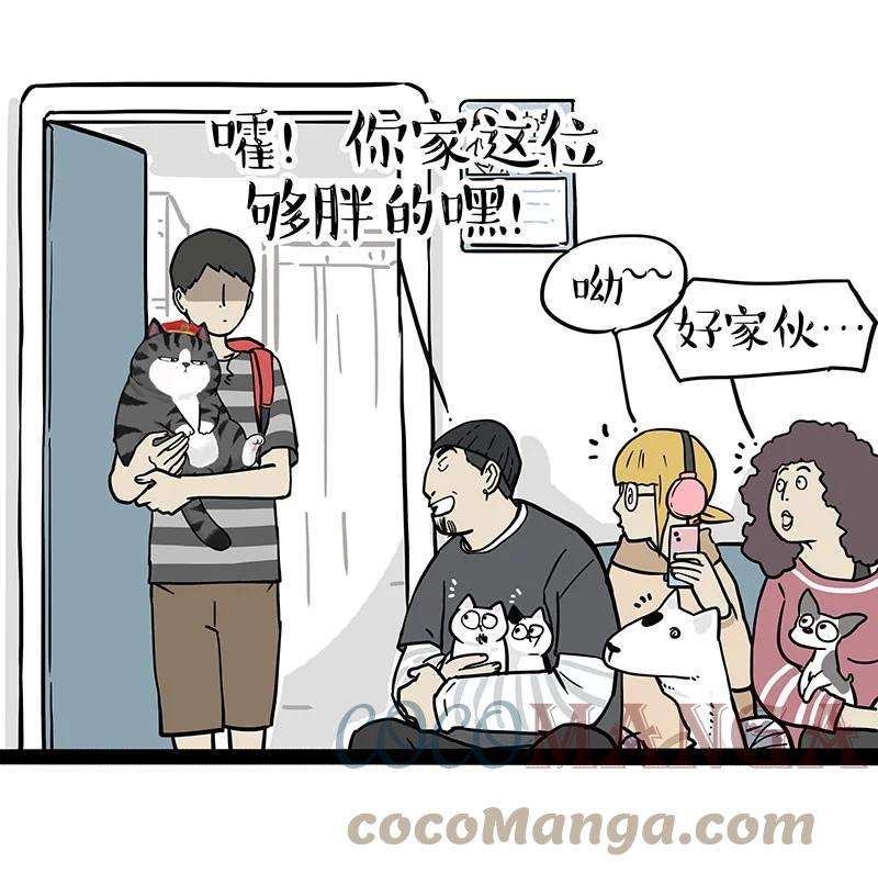 19.jpg