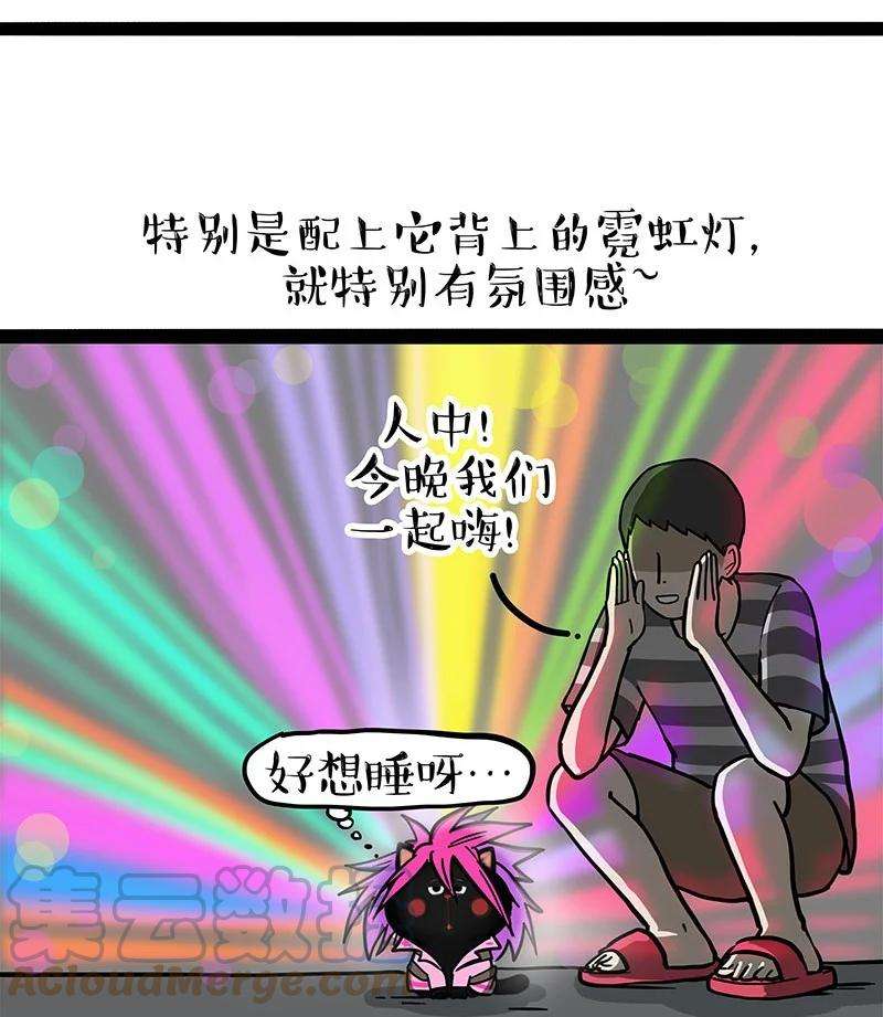 29.jpg