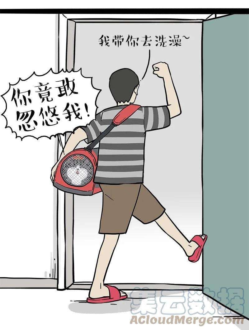 19.jpg