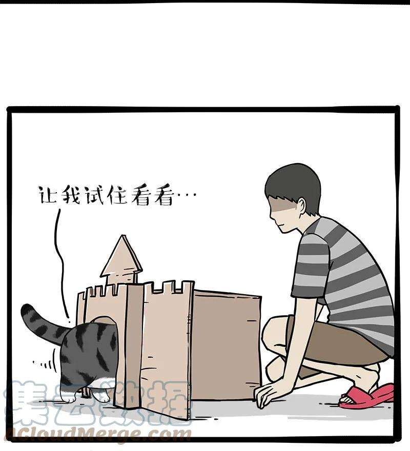 17.jpg