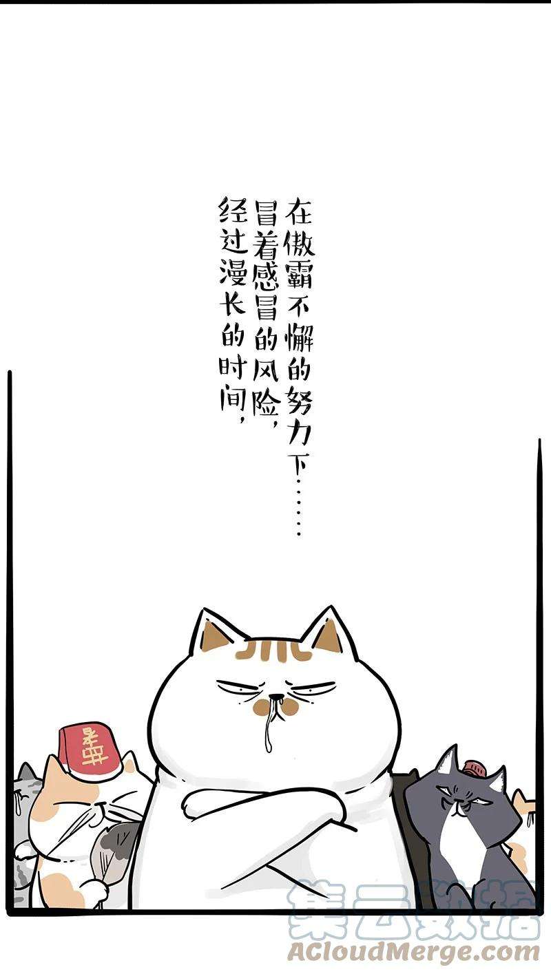 19.jpg