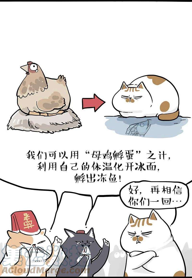 17.jpg