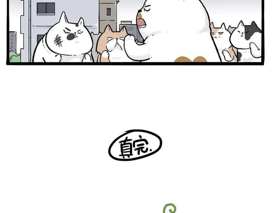 77.jpg