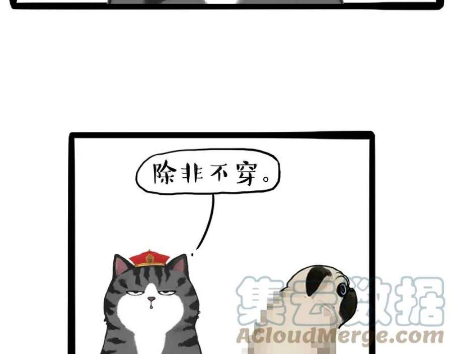 64.jpg