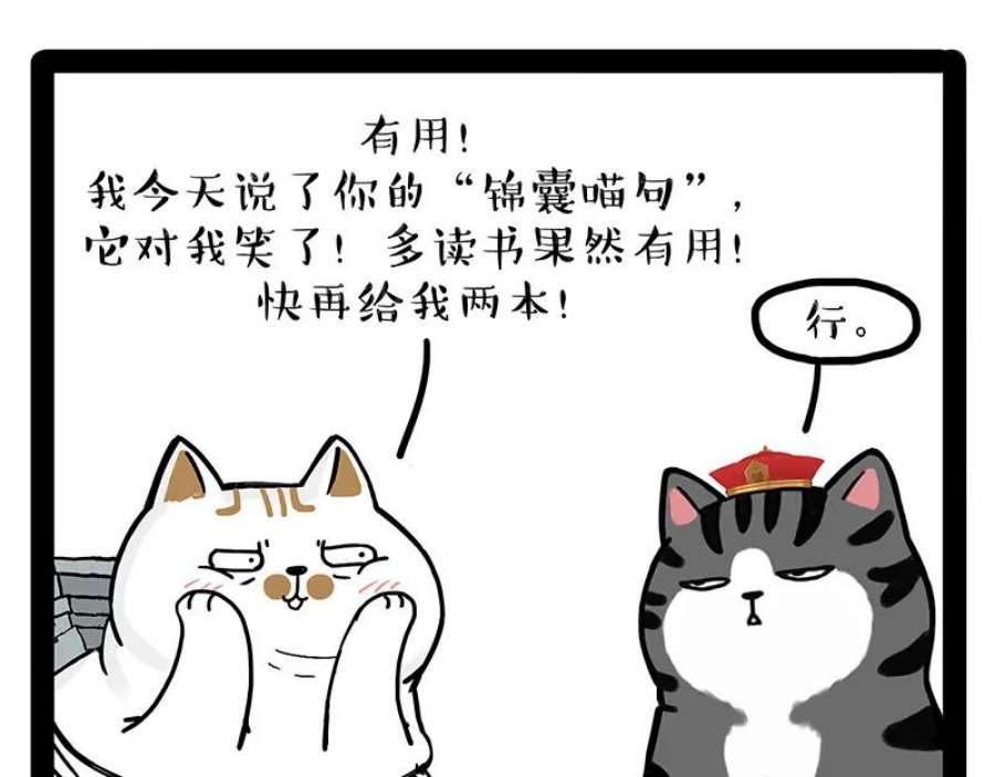 47.jpg