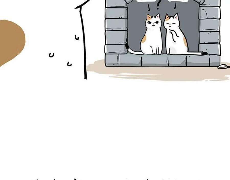 72.jpg
