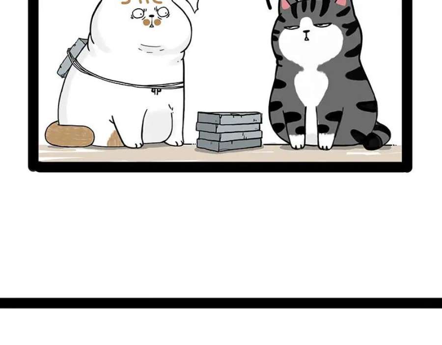 44.jpg