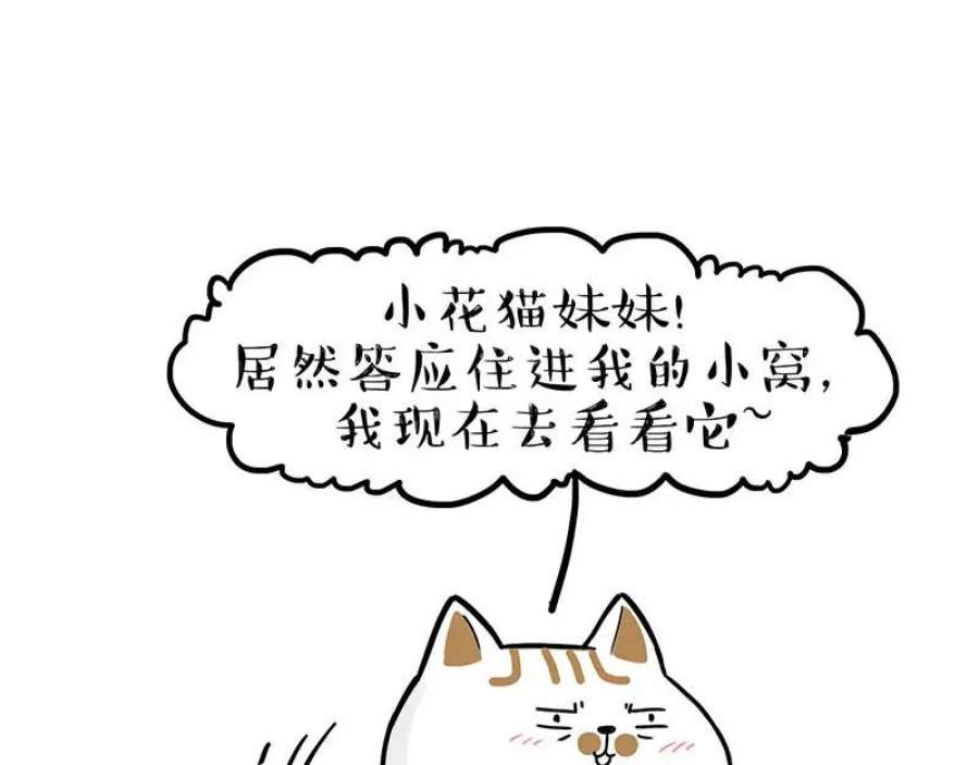 68.jpg