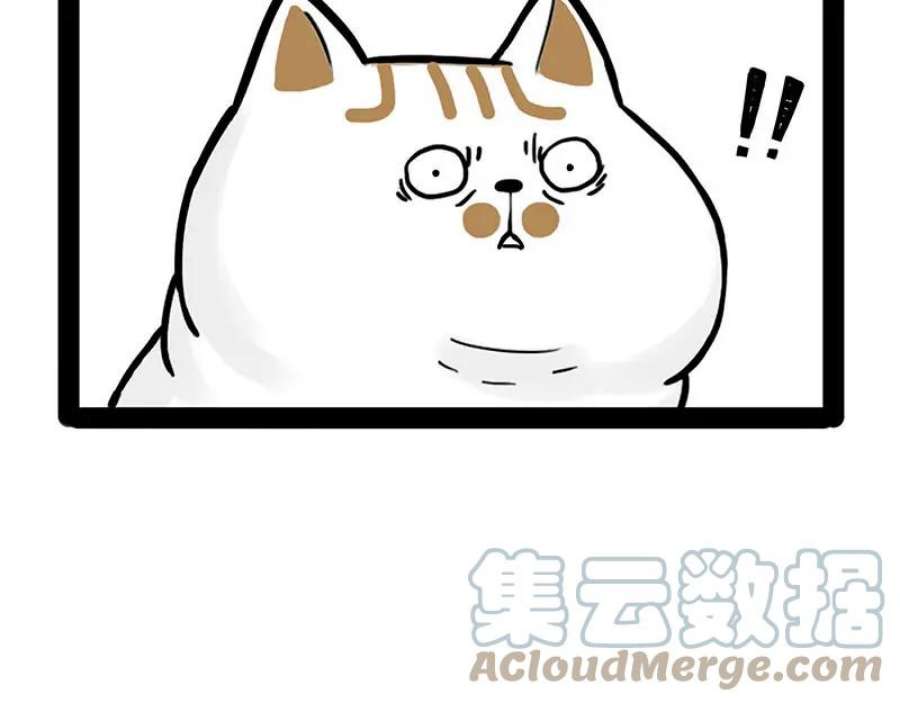 70.jpg